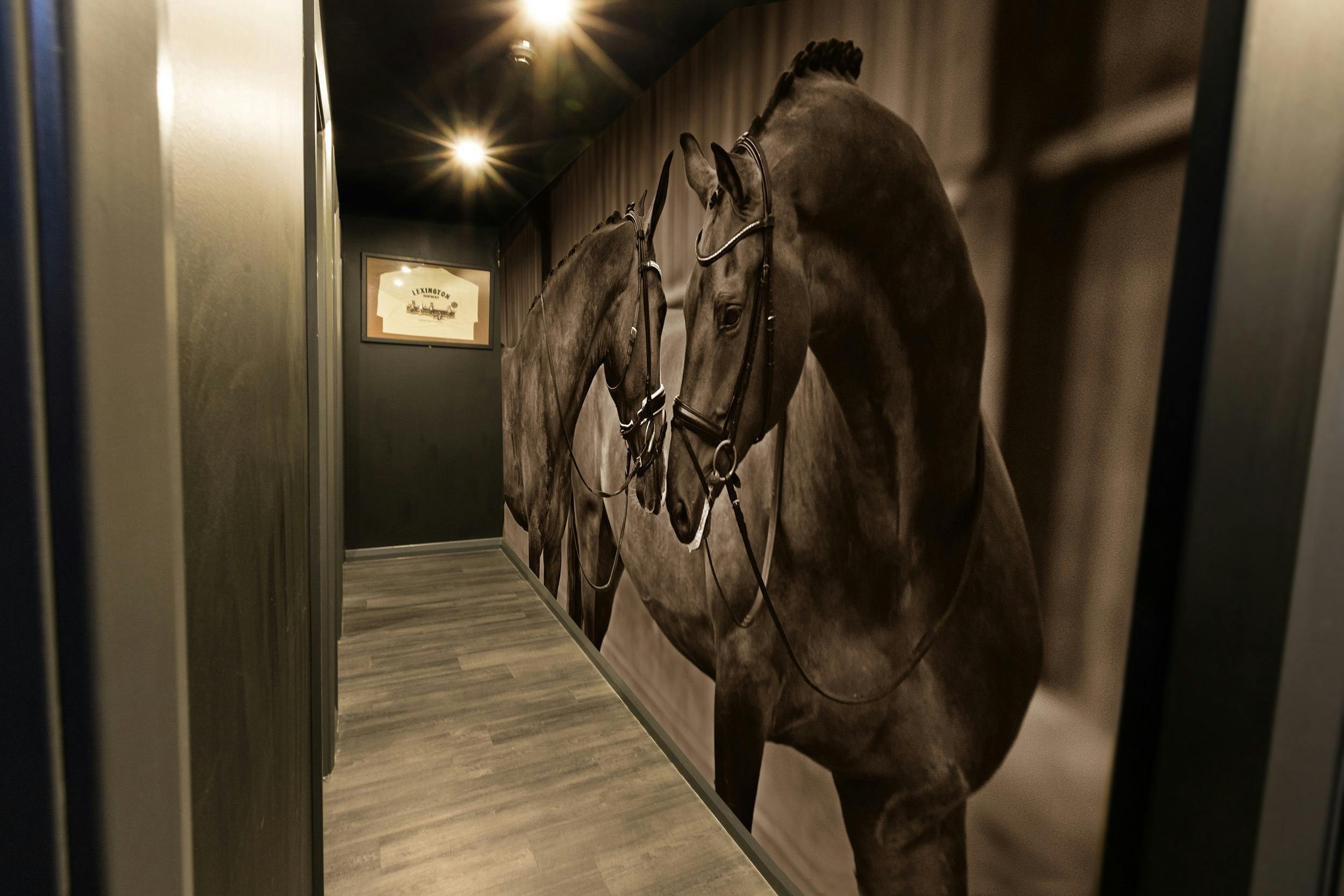 Window Graphics | Signtech